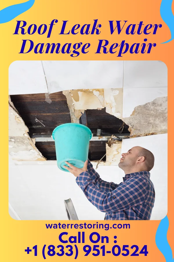 Roof Leak Water Damage Repair in North Salt Lake, UT